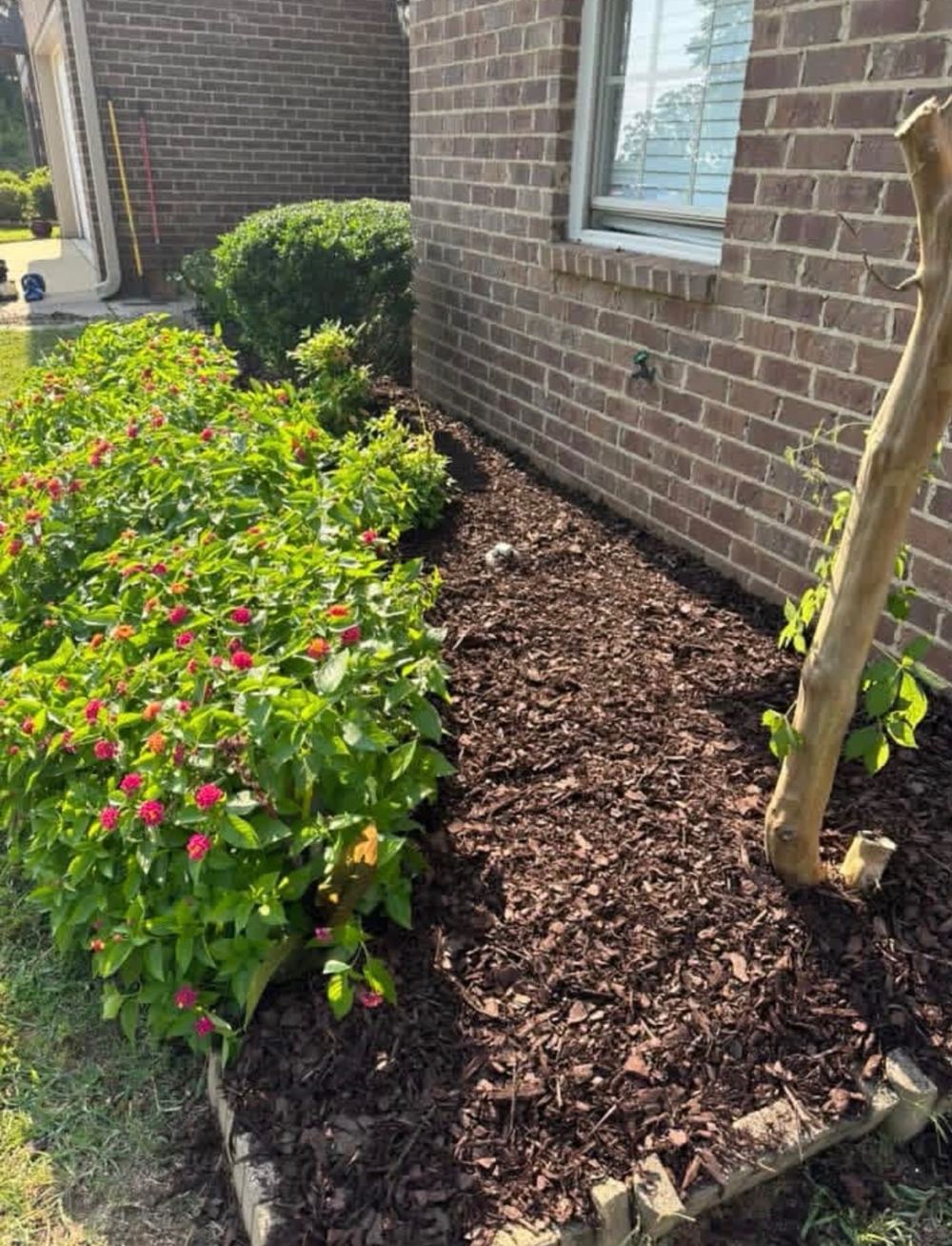 Finished flower bed with fresh mulch, side view
