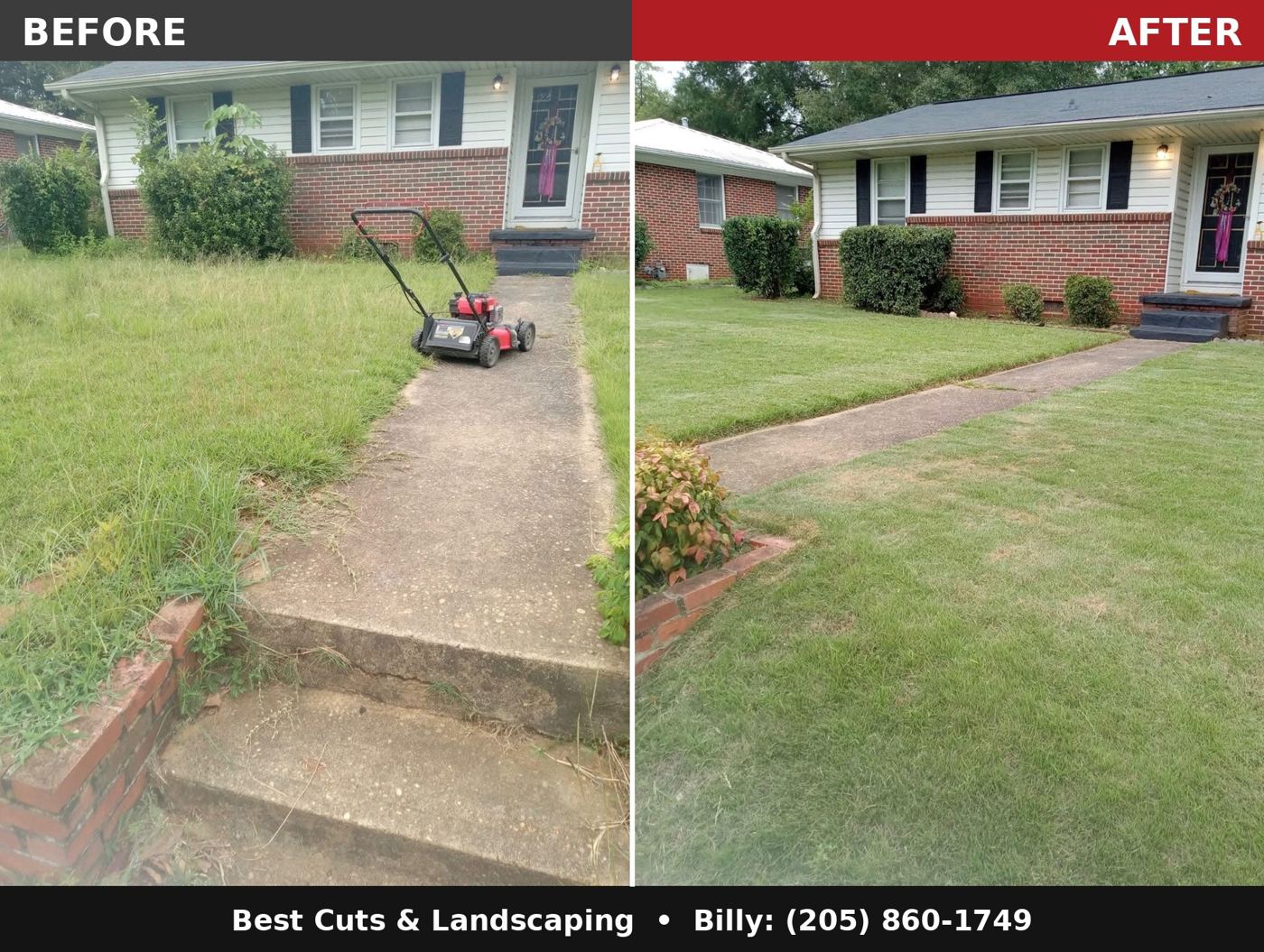 Overgrown yard before and after cleanup by Best Cuts